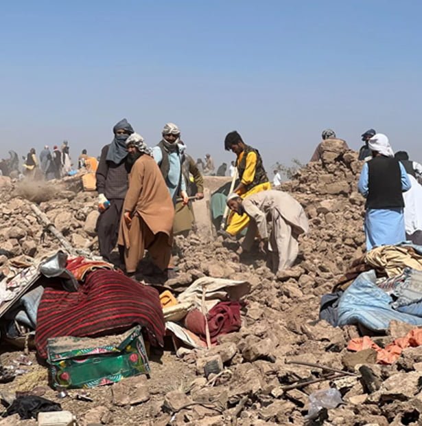 Partnerships and Collaborations